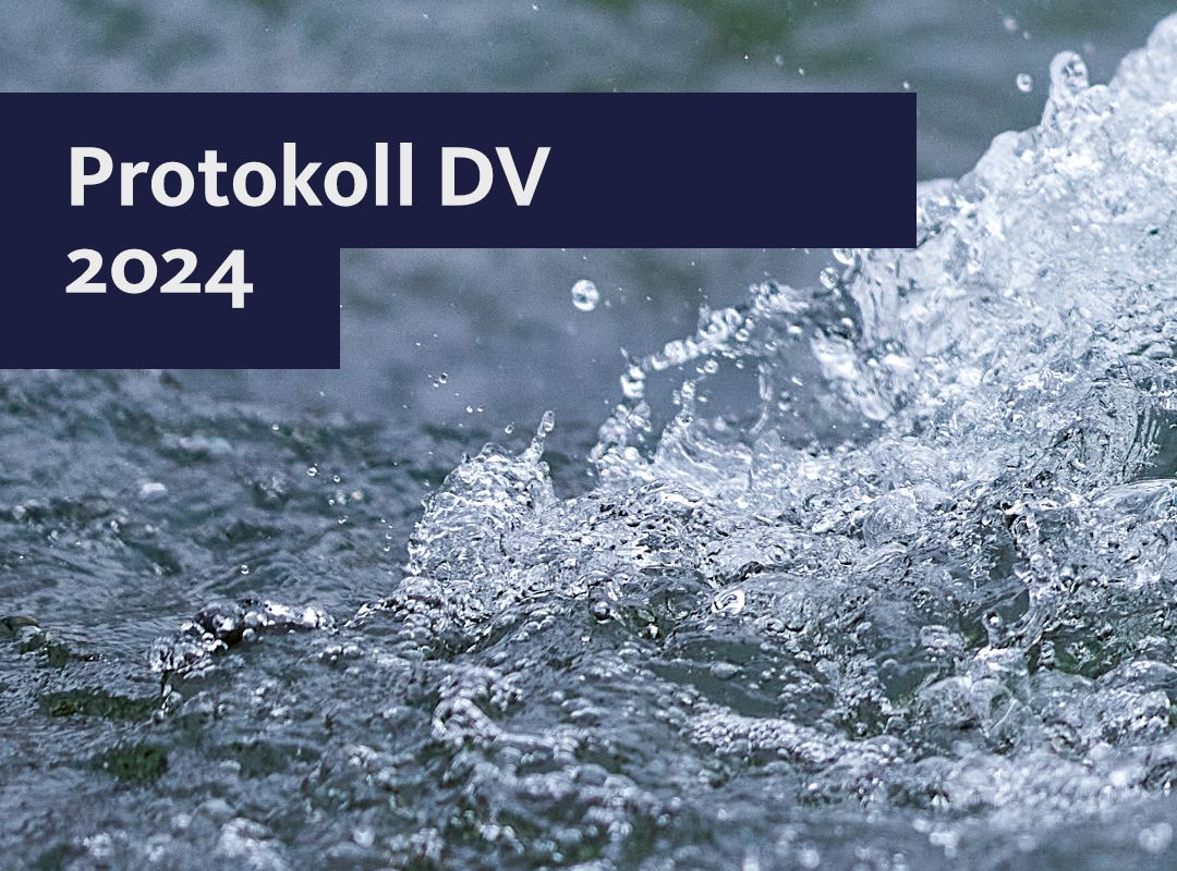 DV 2024
