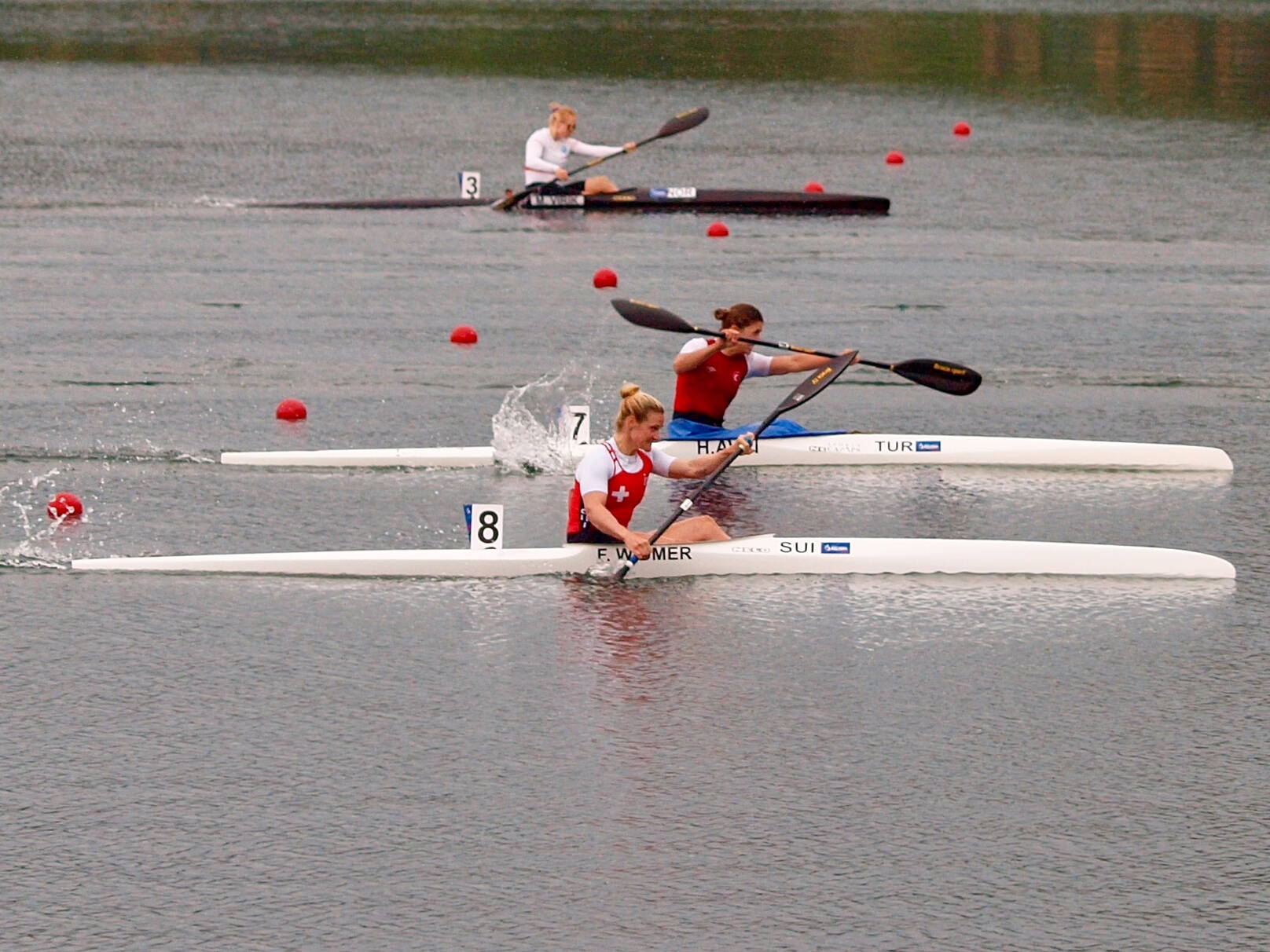 Swisscanoe